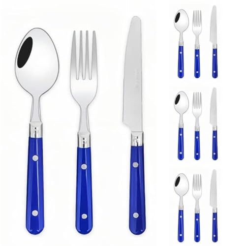 Royal Shang Youpin Zwei Nagel Kunststoff Griff Küche Edelstahl Besteck Geschirr Besteck Besteck Set Steak Messer Gabel Löffel Teelöffel (Blau,12 Stück) von Royal Shang Youpin