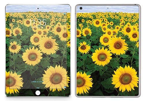 Royal Wandtattoo RS. 68617 selbstklebend für iPad Air, Motiv Sonnenblumenfeld von Royal Sticker