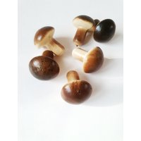 10 Schaumstoff Pilze, 1, 4 "Miniatur Feengarten, Waldbraun Geschenk, Essen Kleines Spielzeug Für Kinder Pilze Niedlich Herbst Handwerk Gefälschte 10 Schaumstoff Pilze, 1, 4 "Miniatur Feengarten, Waldbraun Geschenk, Essen Kleines Spielzeug Für Kinder Pilze Niedlich Herbst Handwerk Gefälschte von RoyalFlowersStudio