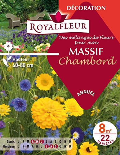 Royalfleur PFRE08692 Blumensamen"Mon Massif", 8 m² von Royalfleur