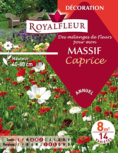 Royalfleur PFRE08697 Blumensamen Mon Massif Caprice, 8 m² von Royalfleur