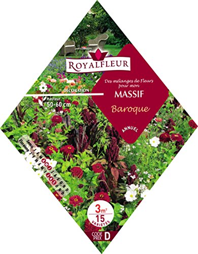 Royalfleur PFRK08634 Blumensamen, Barock, 3 m² von Royalfleur