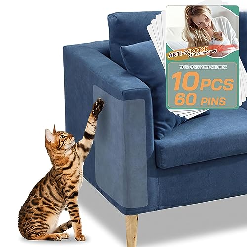 10 Stück Katze Kratzschutz, Sofa Kratzschutz Pad mit Selbstklebend und 60 Schrauben, Möbelschutz Möbelschoner Kratzpads, Kratzfesten Schutzfolie für Sofa Wand Tür und Möbel von Royouzi