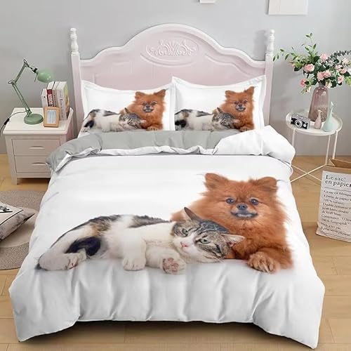 Rptidmv Bettwäsche 200x200 Katze Weiche Atmungsaktive Mikrofaser Bettwäsche Set mit Reißverschluss Schließung (Erwachsene Kinder), 1 Bettbezug + 2 Kopfkissenbezug 80x80 cm von Rptidmv