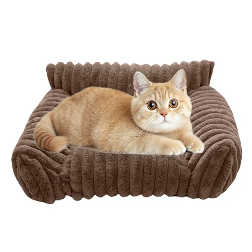 Rrlihjgu Katzenbett Couch,Haustier Sofa Für Kleintiere | Plüsch Knautschfest Katzen Und Hunde Sofa Für Wohnzimmer Schlafzimmer Innenbereich Terrasse Reise Rrlihjgu Katzenbett Couch,Haustier Sofa Für Kleintiere | Plüsch Knautschfest Katzen Und Hunde Sofa Für Wohnzimmer Schlafzimmer Innenbereich Terrasse Reise von Rrlihjgu