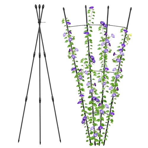 Rrlihjgu Klettergerüst für Kletterpflanzen | 2 Käfige für Tomaten im | vertikale Struktur, platzsparend, Garten für Gurken, UVA, Rose, Weinberg, Hof, Balkon, Landschaftsbau Rrlihjgu Klettergerüst für Kletterpflanzen | 2 Käfige für Tomaten im | vertikale Struktur, platzsparend, Garten für Gurken, UVA, Rose, Weinberg, Hof, Balkon, Landschaftsbau von Rrlihjgu