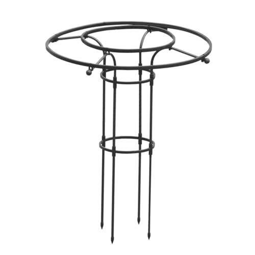 Rrlihjgu Rankgitter für Kletterpflanzen im Freien, Unterstützung für Gartenreben, Gartenarbeit im Freien für Kletterpflanzen, Blumen und Rankpflanzen Rrlihjgu Rankgitter für Kletterpflanzen im Freien, Unterstützung für Gartenreben, Gartenarbeit im Freien für Kletterpflanzen, Blumen und Rankpflanzen von Rrlihjgu