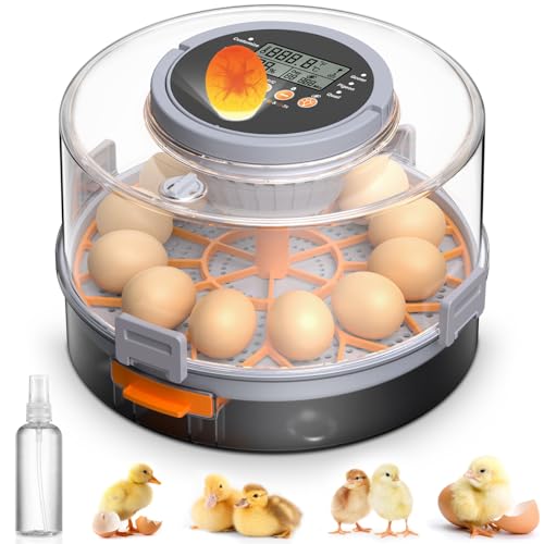 Rsaoty 12 Eier Brutautomat Vollautomatisch, Inkubator Hühner, Brutmaschine Vollautomatisch mit Temperatur und Feuchtigkeitskontrolle, Automatisches Drehen & Stoppen, für Hühnergans, Ente, Taube von Rsaoty