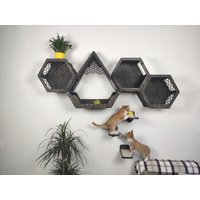 Katzenwandmöbel Regale Kratzbaum Condo Hexagon Katzenregal von RshPets