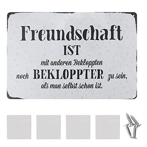 RtottiM Blechschild 20x30cm Metallschild Deko Gewölbt Freundschaft ist mit Anderen Deko Geschenk Metall Schild von RtottiM