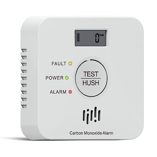 Kohlenmonoxid Melder, 10-Jahres-Batterie CO melder mit LCD-Display und Silent-Test-Taste, EN50291 konform, Kohlenmonoxid-Warner (TCS0202A) von Ruan