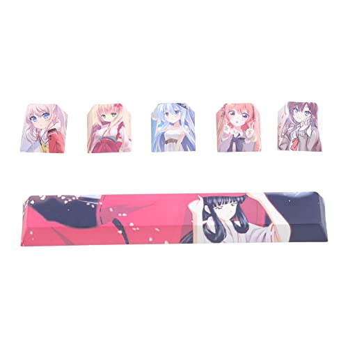 Ruarby Only Keycap Anime Pbt 6.25U Leertaste R4 Tastenkappe Fünf Seiten Dye Subbed Tastenkappe für mechanische Tastatur Cherry Profile R4 Tastenkappen von Ruarby