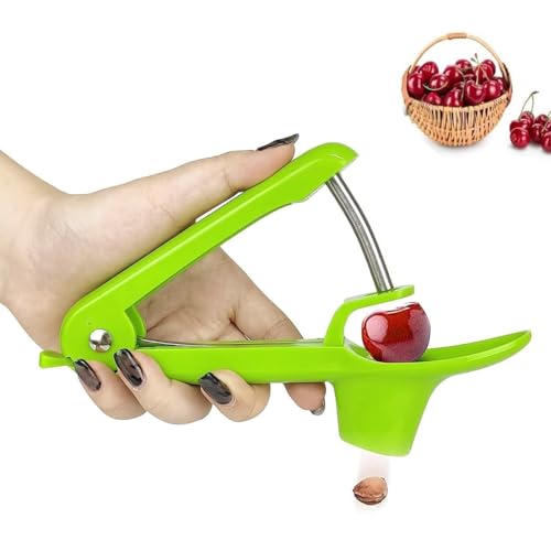 Ruayia Ananasschneider Ananas-Entkerner aus Edelstahl, Ananaskernen Zuhau Asdirne Ananas Schäler Obstkerne Entfernen Ruayia Ananasschneider Ananas-Entkerner aus Edelstahl, Ananaskernen Zuhau Asdirne Ananas Schäler Obstkerne Entfernen von Ruayia