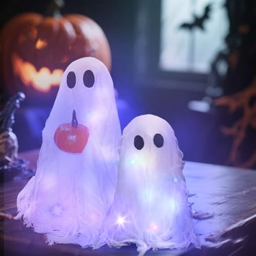 2 Stück Halloween Dekoration-Sherpa Gespenster mit Kürbis Deko Geist Indoor Niedliches Gespenst Tischdekoration für Vorgarten, Terrasse, Rasen, Garten, Partydekor (Weiß mit Licht) von Rubu22a