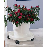 Ruco Blumentopfuntersetzer Kunststoff, Ø 34 cm von Ruco