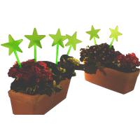 Ruco Dekostern "Glow in the Dark" aus fluoreszierendem Kunststoff von Ruco