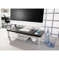 Ruco Standregal (Monitorständer), Aluminium/Kunststoff von Ruco