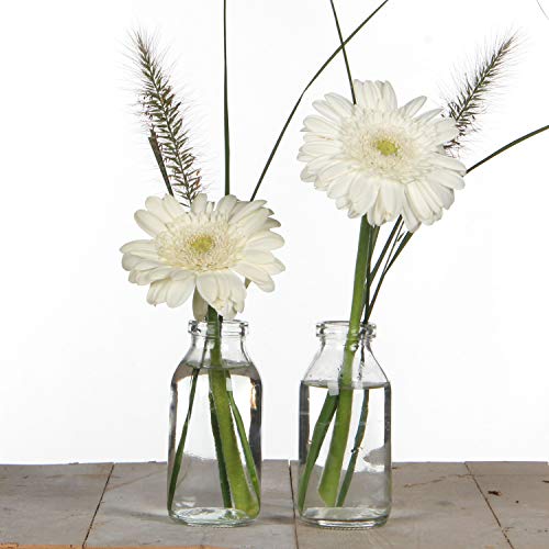 12 kleine Fläschchen aus Glas H 10,5 cm, ideal als kleine Vase für Ihre Tischdeko von Annastore