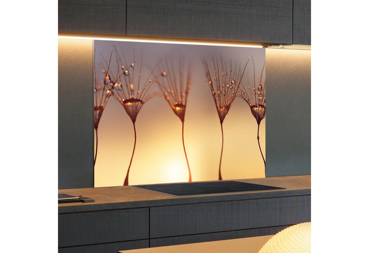 Rückwand24 Spritzschutz Spritzschutz Küchenrückwand Alu Glanz Natur Rückwand24 Spritzschutz Spritzschutz Küchenrückwand Alu Glanz Natur von Rückwand24