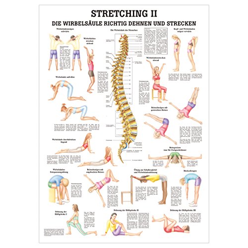 Ruediger Anatomie MIPO69 Streching II Tafel, 24 cm x 34 cm, Papier von Sport-Tec