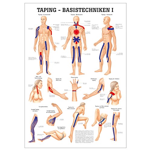 Sport-Tec Taping Basistechniken I Mini-Poster Anatomie 34x24 cm medizinische Lehrmittel von SPORTTEC