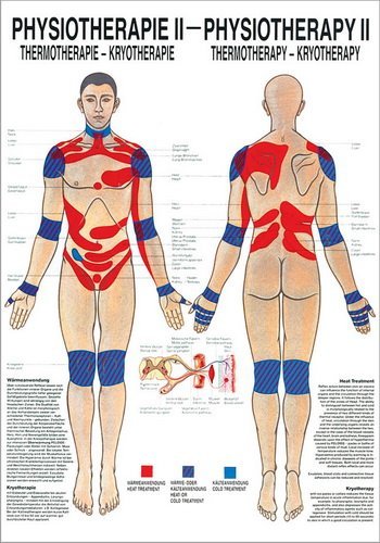 Ruediger Anatomie PHYS II LAM Thermotherapie Tafel, 50 cm x 70 cm, laminiert von Rdiger- Anatomie GmbH