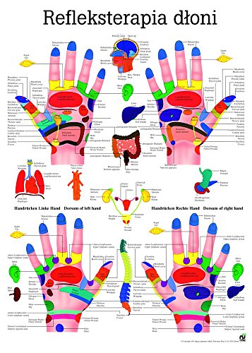 Ruediger Anatomie PL_PHYS6LAM Refleksoterapia Dloni Tafel, polnisch, 70 cm x 100 cm, laminiert von Rdiger- Anatomie GmbH