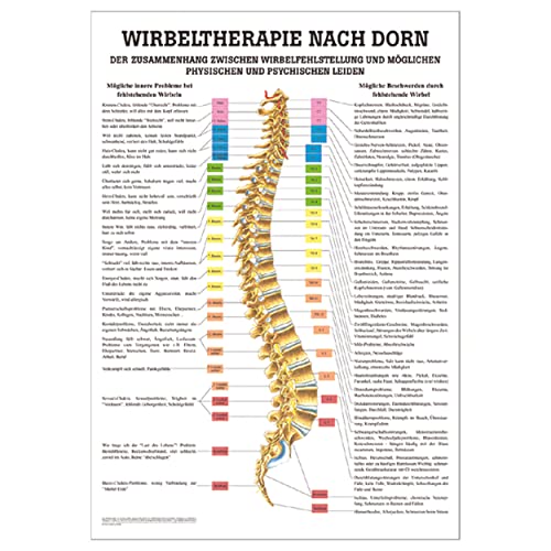 Wirbeltherapie PO41 nach Dorn Poster Anatomie 70x50 cm medizinische Lehrmittel , Wirbeltherapie PO41 nach Dorn Poster Anatomie 70x50 cm medizinische Lehrmittel , von Sport-Tec