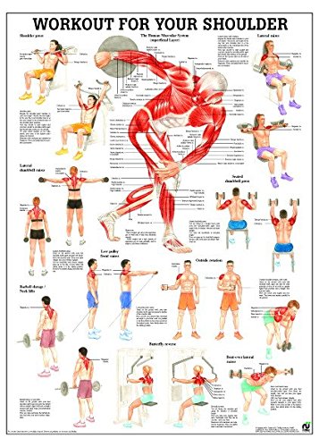 Ruediger Anatomie PO80eLAM Workout For Your Back Tafel, 50 cm x 70 cm, laminiert Ruediger Anatomie PO80eLAM Workout For Your Back Tafel, 50 cm x 70 cm, laminiert von Rdiger- Anatomie GmbH