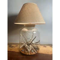 Glaslampe Seeigel Glaslampe Seeigel von RuegenDesign