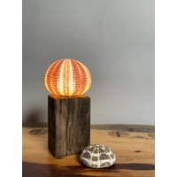 Mini Seeigel Lampe 1 von RuegenDesign