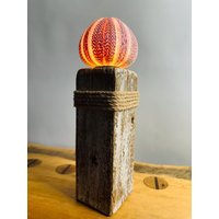 Mini Seeigel Lampe 4 von RuegenDesign