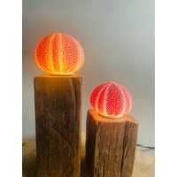 Mini Seeigel Lampen Set 1 von RuegenDesign
