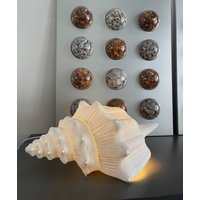 Seashell Lampe von RuegenDesign