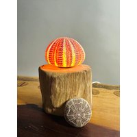 Seeigel Lampe 7 von RuegenDesign