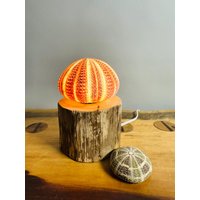 Seeigel Lampe 8 von RuegenDesign