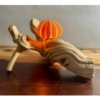 Seeigel Lampe Lianen Holz 2 von RuegenDesign
