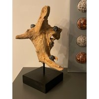 Skulptur Holz Und Seeigel Skulptur Holz Und Seeigel von RuegenDesign