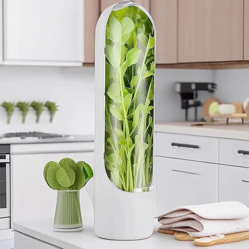 Rufevee Gemüse frischer Frischer Kräuter konservierung Flasche Kräuter Gemüse frischer Flasche Kräuter Frischer Vorrats behälter Küchen-Gadget von Rufevee