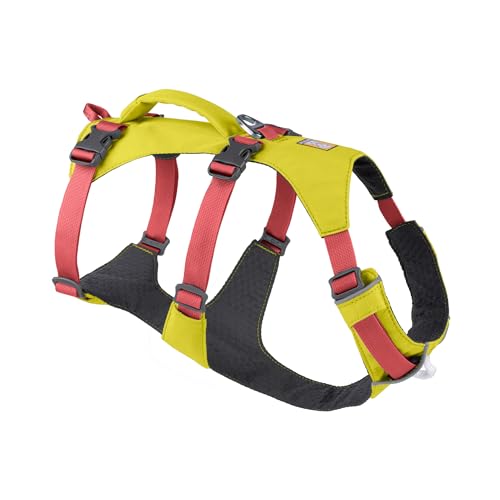 Ruffwear Flagline Hundegeschirr mit Griff, Lleichtes, Verstellbares Gehgeschirr, 3 Leinenbefestigungspunkte, verstärktes Gurtband und starker V-Ring aus Metall, Lichen Green (X Small, 43-56cm) von RUFFWEAR