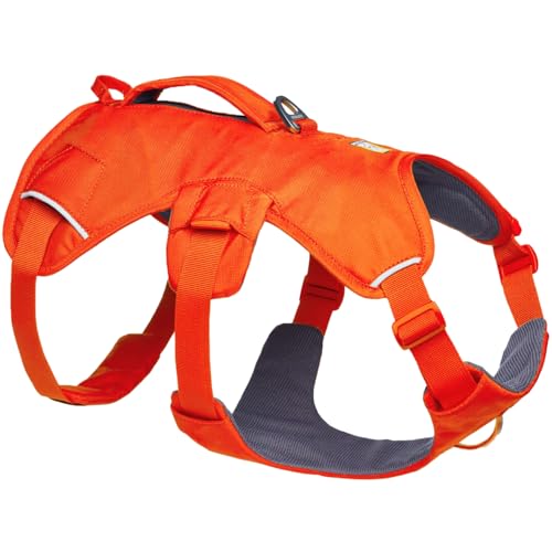 Ruffwear Web Master Hundegeschirr, Y-Front-Hundegeschirr mit Griff und verbesserter Schnalle, verstellbar und leicht für Spaziergänge und Wanderungen, fluchtsicher, kein Ziehen, Blaze Orange, Medium von RUFFWEAR
