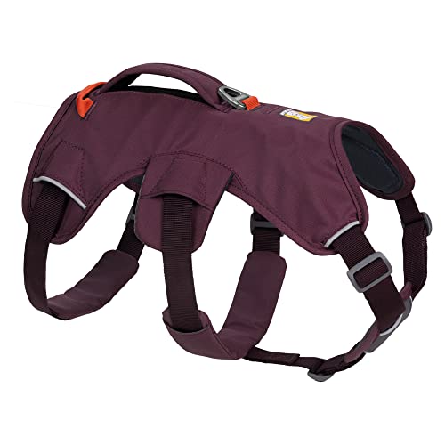 RUFFWEAR Mehrzweck-Hundegeschirr mit Griff, Web Master, verstellbares, Geschirr, 2 Leinenbefestigungen, für den täglichen Gebrauch, Purple Rain, M von RUFFWEAR