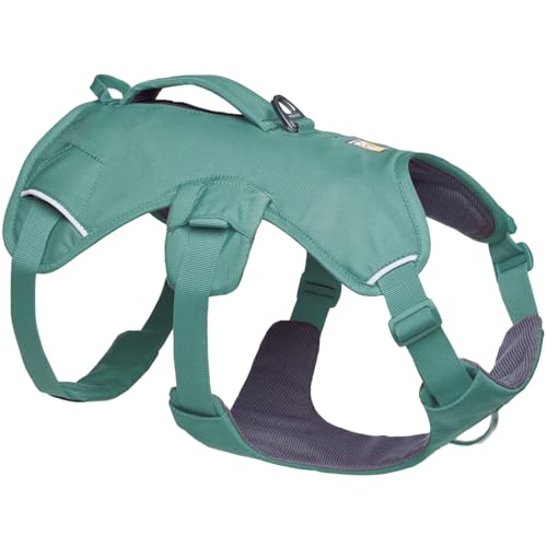Ruffwear Web Master Hundegeschirr, Y-Front-Hundegeschirr mit Griff und verbesserter Schnalle, verstellbar und leicht für Spaziergänge und Wanderungen, fluchtsicher, River Rock Green, Medium Ruffwear Web Master Hundegeschirr, Y-Front-Hundegeschirr mit Griff und verbesserter Schnalle, verstellbar und leicht für Spaziergänge und Wanderungen, fluchtsicher, River Rock Green, Medium von RUFFWEAR