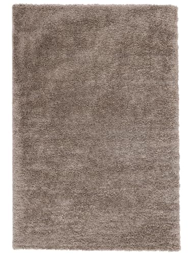 RugVista Aris Teppich - Greige Teppich 100x160 Moderner Teppich von RugVista