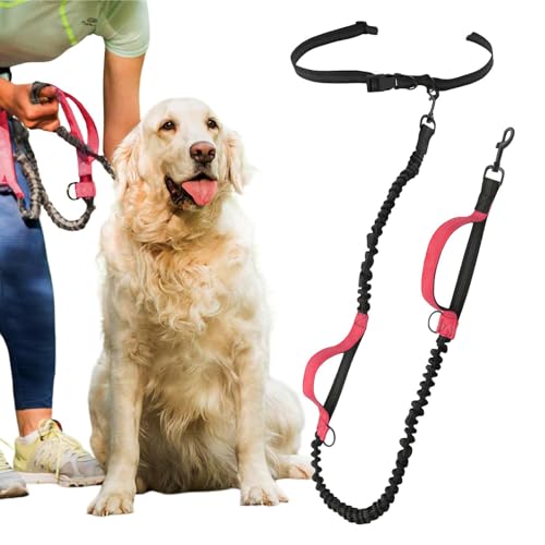 Ruhnjyg Freihändiges Hundeseil,Laufseil für Hunde, freihändig | Einziehbares Seil für Hunde | Taillenseil für Hundespaziergänge, reflektierendes Taillengürtel-Trainingsseil für Hunde von Ruhnjyg