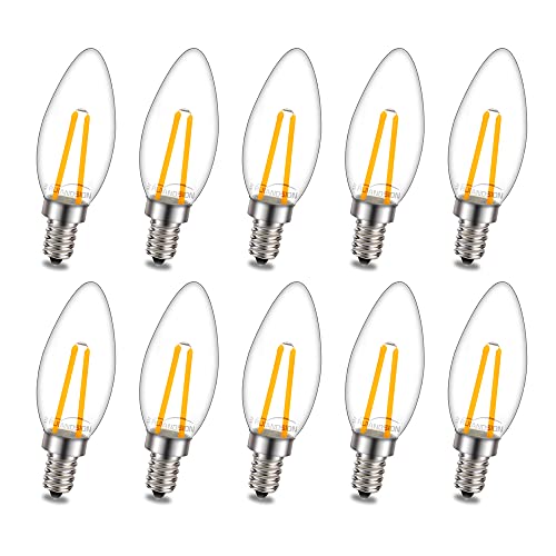 Ruiandsion E12 LED Birne 220V AC Warmweiß 2SMD LED Chips Ersatz für Kerzen Decken Hängende Dekorative Beleuchtung (Packung mit 10) von Ruiandsion