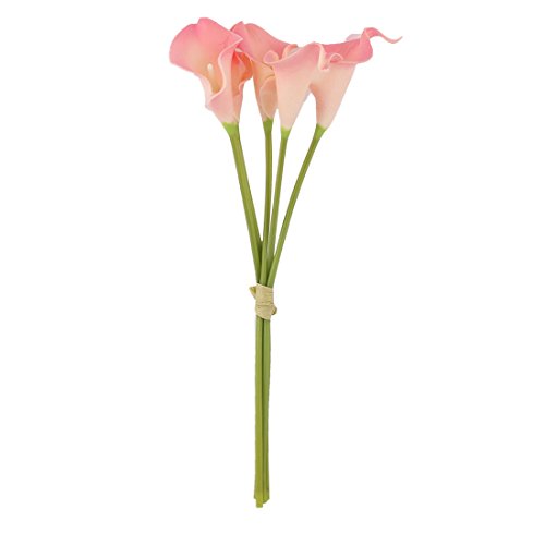 Ruilogod Hochzeit Bankettfestival Dekor Calla Lilie Künstliche Blumen Blumenstrauß 5 Stück Rosa Beige von Ruilogod