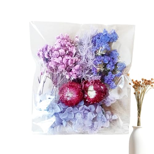 Trockenblumen Zum Basteln, Trockenblumen | -Set Blume Für Scrapbooking - Natürliche Und Lebendige Blumenarrangements Für Kunsthandwerk, Harzform, Fotorahmen, Kerze Trockenblumen Zum Basteln, Trockenblumen | -Set Blume Für Scrapbooking - Natürliche Und Lebendige Blumenarrangements Für Kunsthandwerk, Harzform, Fotorahmen, Kerze von Ruilonghai