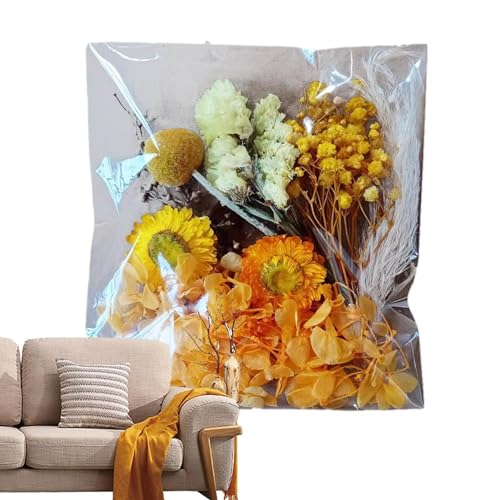 Trockenblumen Zum Basteln, Trockenblumen | -Set Blume Für Scrapbooking - Natürliche Und Lebendige Blumenarrangements Für Kunsthandwerk, Harzform, Fotorahmen, Kerze Trockenblumen Zum Basteln, Trockenblumen | -Set Blume Für Scrapbooking - Natürliche Und Lebendige Blumenarrangements Für Kunsthandwerk, Harzform, Fotorahmen, Kerze von Ruilonghai