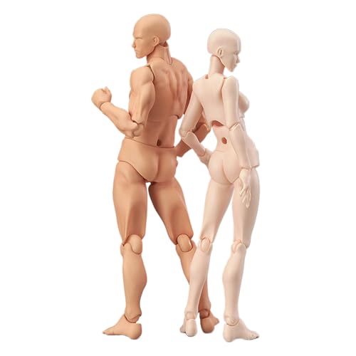 Ruiqas 2Pcs Flexibler Schaufensterpuppe Gliederpuppe, Body Actionfigur Künstler Zeichnung Figur Modell Jointed Männlich und Weiblich Mannequin für Zeichnung Skizzieren von Ruiqas